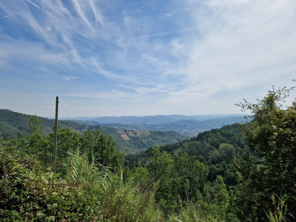 Sessame,Italy 02